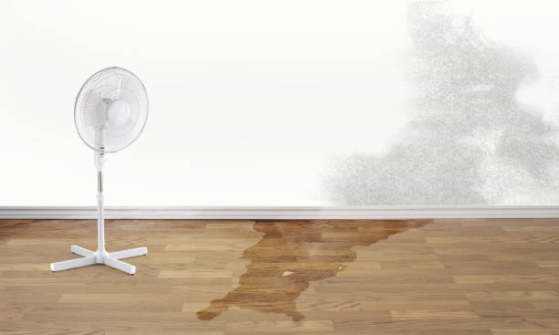 Best Water damage restoration services  in Brookings, OR